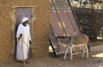 السودانيون يستخدمون الحمير كوسيلة إسعاف  بسبب تمدد الحرب..