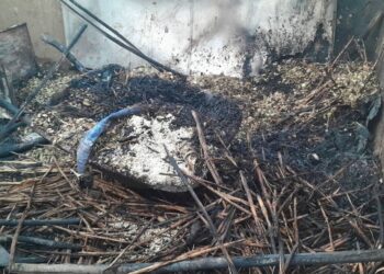  إصابة أربعة أطفال جراء سقوط قذائف في معسكر أبوشوك  