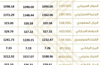 مستوى تاريخي.. سعر الدولار في السودان