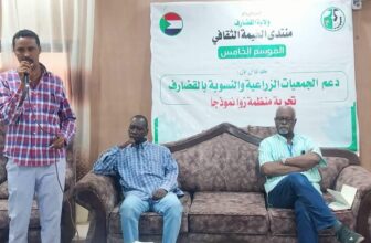 ارتفاع إنتاج الذرة من جوالين إلى «13» جوالًا بولاية القضارف