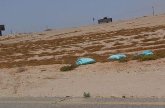 مصر.. سفاح التجمع في قبضة الشرطة