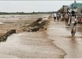 تعرف على الأسباب .. توقف حركة النقل البري بين السودان ومصر