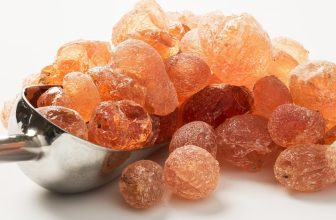 تقرير  .. كيف احتلت تشاد مكانة السودان في تصدير الصمغ العربي