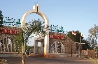 تعرف على الولاية التى ستنتقل إليها جامعة الجزيرة