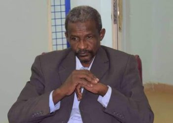 وزير يكشف أسباب إغلاق المدارس السودانية بمصر ويحمل هذه الجهات المسؤولية