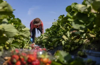 تشمل 4 دول عربية من بينها السودان… دولة أوروبية تبحث عن 181 ألف عامل