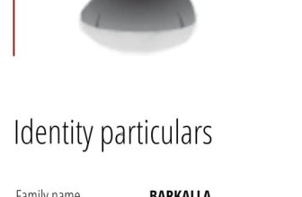 الإنتربول يصدر نشرة زرقاء تّجاه اثنين من قادة مليشيا الد-عم السر-يع