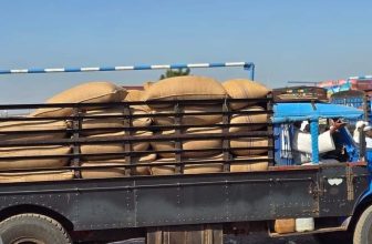 ولاية سودانية تبدأ تسويق محصول مهم