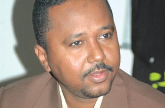 الهندي عزالدين يكتب: عن وزير الخارجية الجديد أحدثكم..