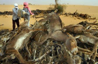 وباء غامض بولاية سودانية يسبّب الهلع وسط المواطنين