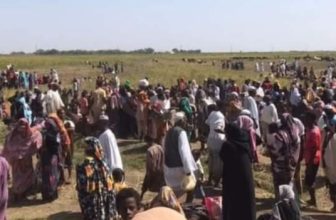 جرائم مروعة للمل.. شيا قتـ. ل ونهب بقرى في الجزيرة…