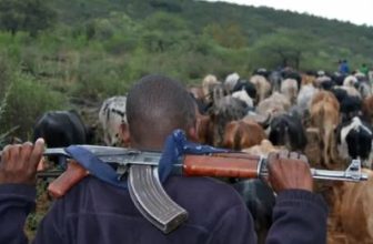سرقة 500 رأس ماشية في هجوم لمسلّحين في هذه المنطقة