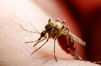 أخيرًا.. حل لغز المرض الغامض في إقليم كوانجو