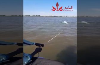 “فيديو”..الدفاع المدني نهر النيل شعبة الإنقاذ النهري تفلح في إنتشال مسيرة بكامل عتادها من دانات لن تنفجر سقطت.. المنبر وعيك يبني وطنا 🇸🇩