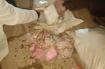 السودان.. كمين محكم وضبط عربة كوريلا بجسر عطبرة..ماذا هناك؟