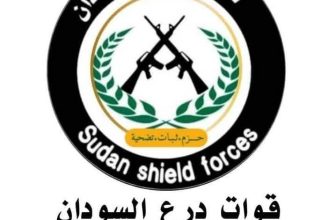 درع السودان ترد على انتهاكات قواتها في مدني..