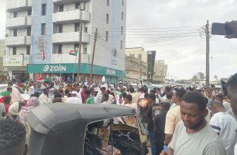 مواكب بعدد من الولايات احتفالا بتحرير ود مدني