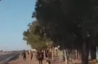 الجيش يقترب من المصفاة..