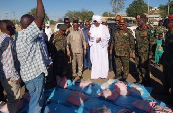 إيقاف شحنة ذخائر خطيرة في السودان