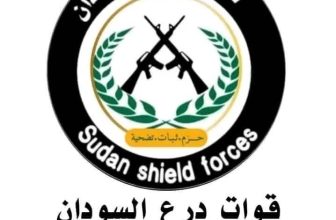 درع السودان تكشف تفاصيل معركة جسر سوبا..