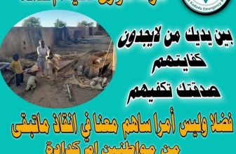 نداء عاجل لإغاثة النازحين في أم كدادة..