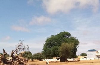اشتباكات عنيفة في الخوي..