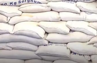 شحنة مساعدات أميركية ضخمة تصل بورتسودان..