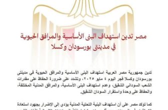 مصر تدين بشدة تطورات الأوضاع في السودان..
