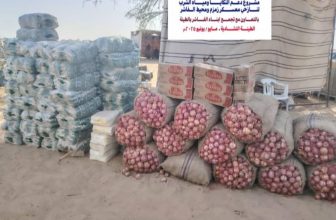 قنصلية السودان بأبشي تدفع بمساعدات عاجلة للاجئين في الطينة التشادية..