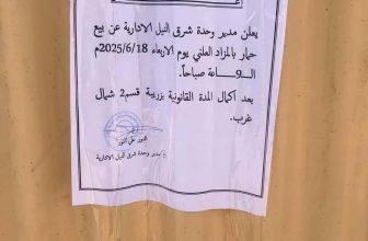 مزاد علني لبيع (حمار) بمحلية دنقلا يشعل المنصات..