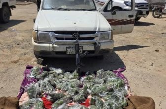 تفكيك شبكة تهريب مخدرات بولاية سودانية