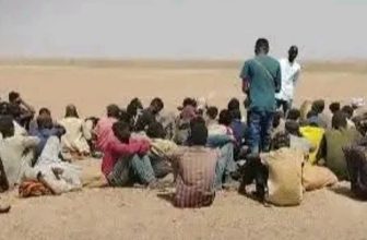 وصول مئات النازحين من المثلث إلى الشمالية..