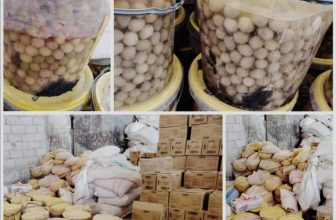 ضبط مواد منتهية الصلاحية بولاية سودانية