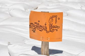إحباط تهريب شحنة من محصول الذرة