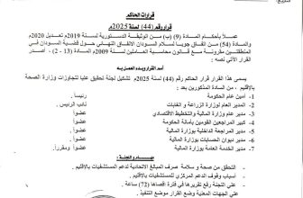 لجنة للتحقيق في قضية فساد ضخمة بإقليم النيل الأزرق