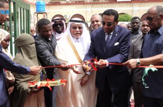 رئيس الوزراء يعلق على الدعم السعودي..