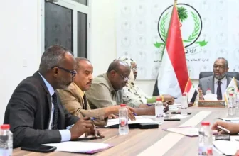 استثمار سعودي ضحم في قطاع الصحة بالسودان