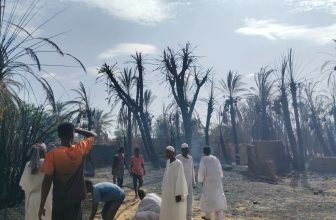 حريق هائل يقضي على النخيل بالشمالية..