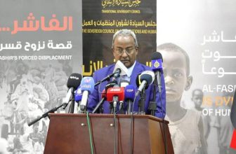 بالأرقام.. حصاد ماحدث بالفاشر أثناء الحصار..