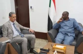 تفاصيل اجتماع وزير الدولة بالخارجية مع السفير المصري