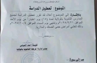 قرار عاجل بشأن المدارس بعد تفشي الضنك في ولاية سودانية..