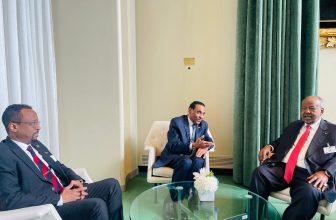 رئيس الوزراء يلتقي الرئيس الجيبوتي