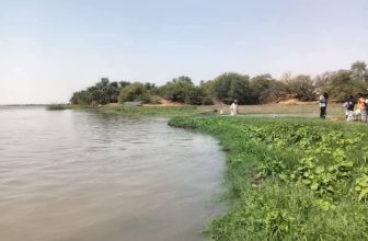 “الإنذار الأحمر” النيل يصل مستويات عالية الخطورة.. ..