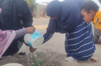 ” دنقلا خضراء”.. مبادرة لمواجهة الزحف الصحراوي بالشمالية..