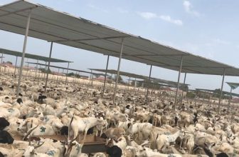 الصومال تجني ثمرات حرب السودان..