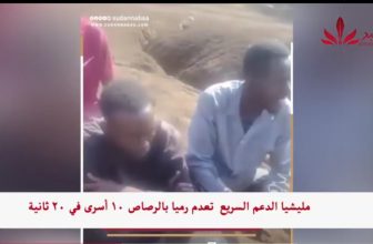 شاهد.. مليـ شيا الدعم السـ ريع تعدم رميًا بالرصاص”10″ أسرى في 20″ ثانية… المنبر وعيك يبني وطنا 🇸🇩