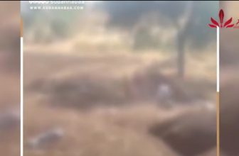 شاهد.. تقرير المنبر 24 عن الانتهاكات الانسانية في الفاشر  المنبر  وعيك يبني وطنا 🇸🇩