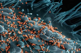 تحذير خطير لفيروس قاتل..وتسجيل حالات في إثيوبيا