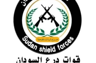 قوات درع السودان تصدر بيانًا بشأن حادثة ود مدني