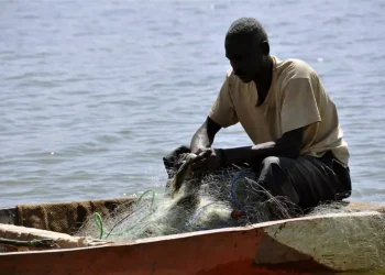 إغلاق لبحيرتين وحظر صيد الأسماك في السودان